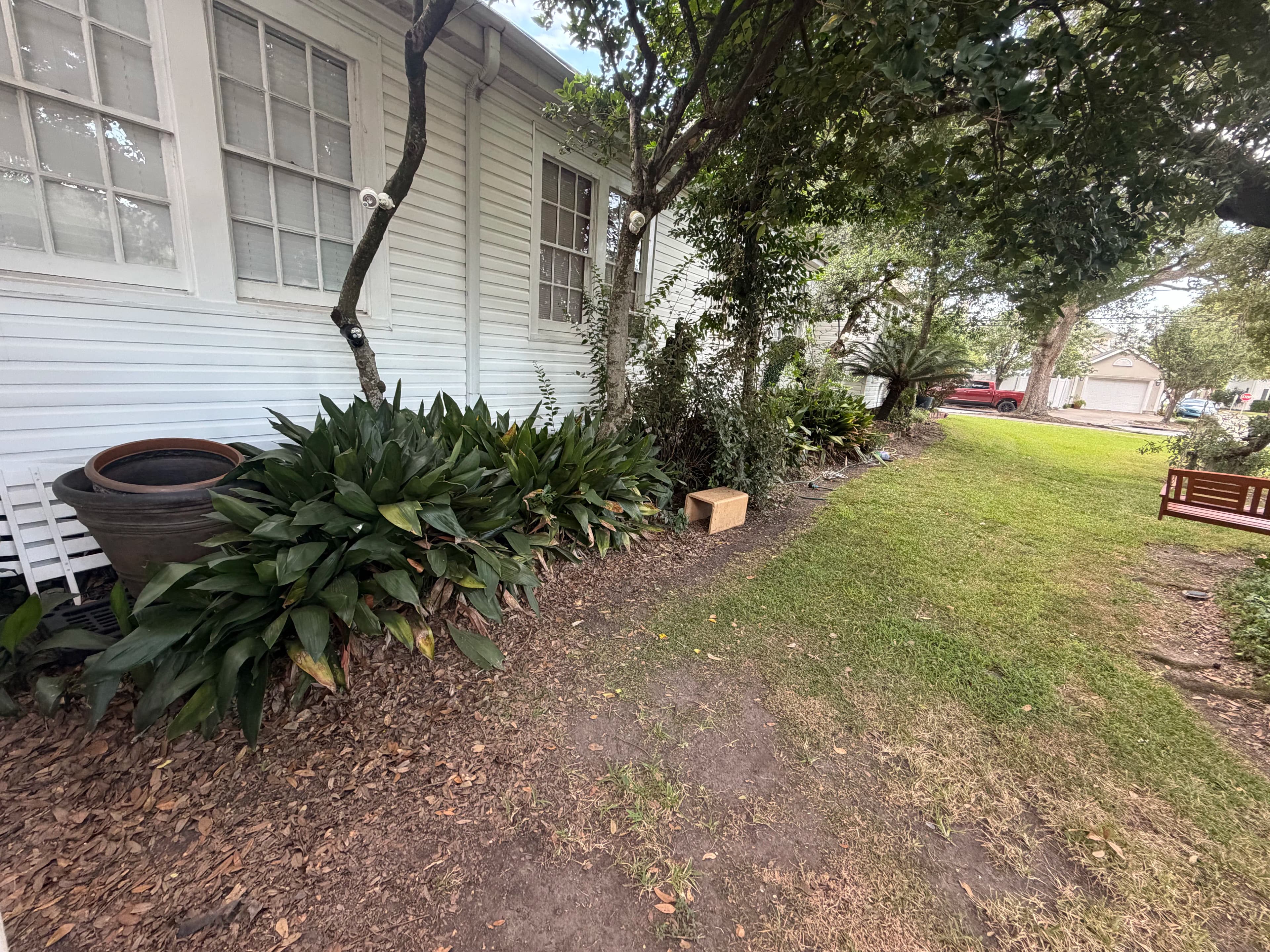Project Debris Clearout and Landscaping Cleanup at a Metairie Home image