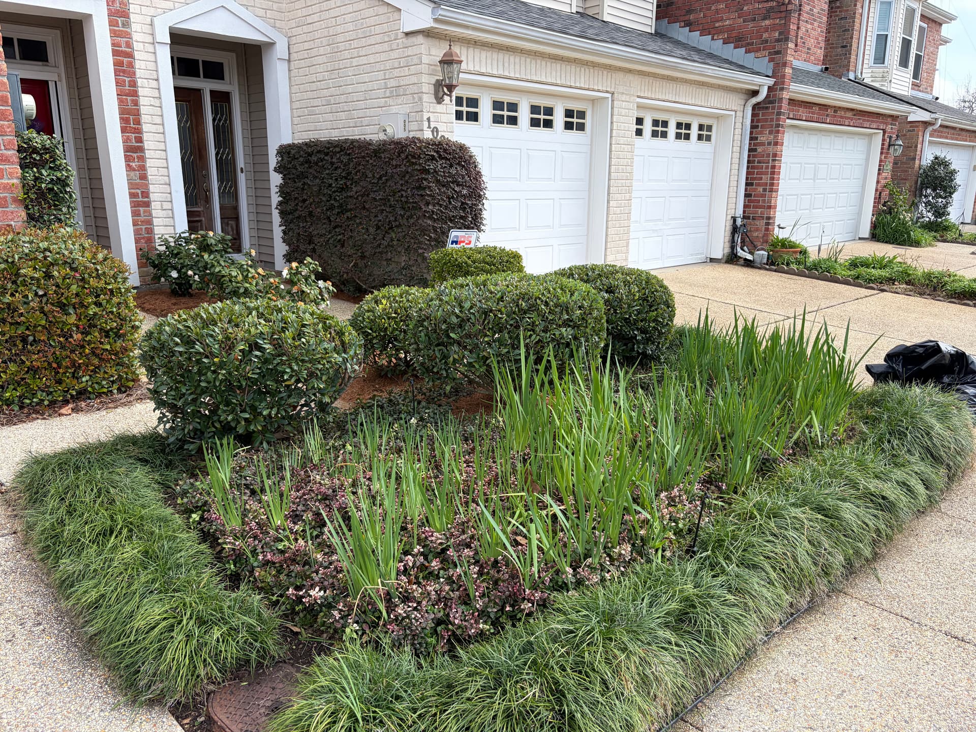 Gallery photos for Suburban Front Yard Makeover in Old Metairie: Image #3