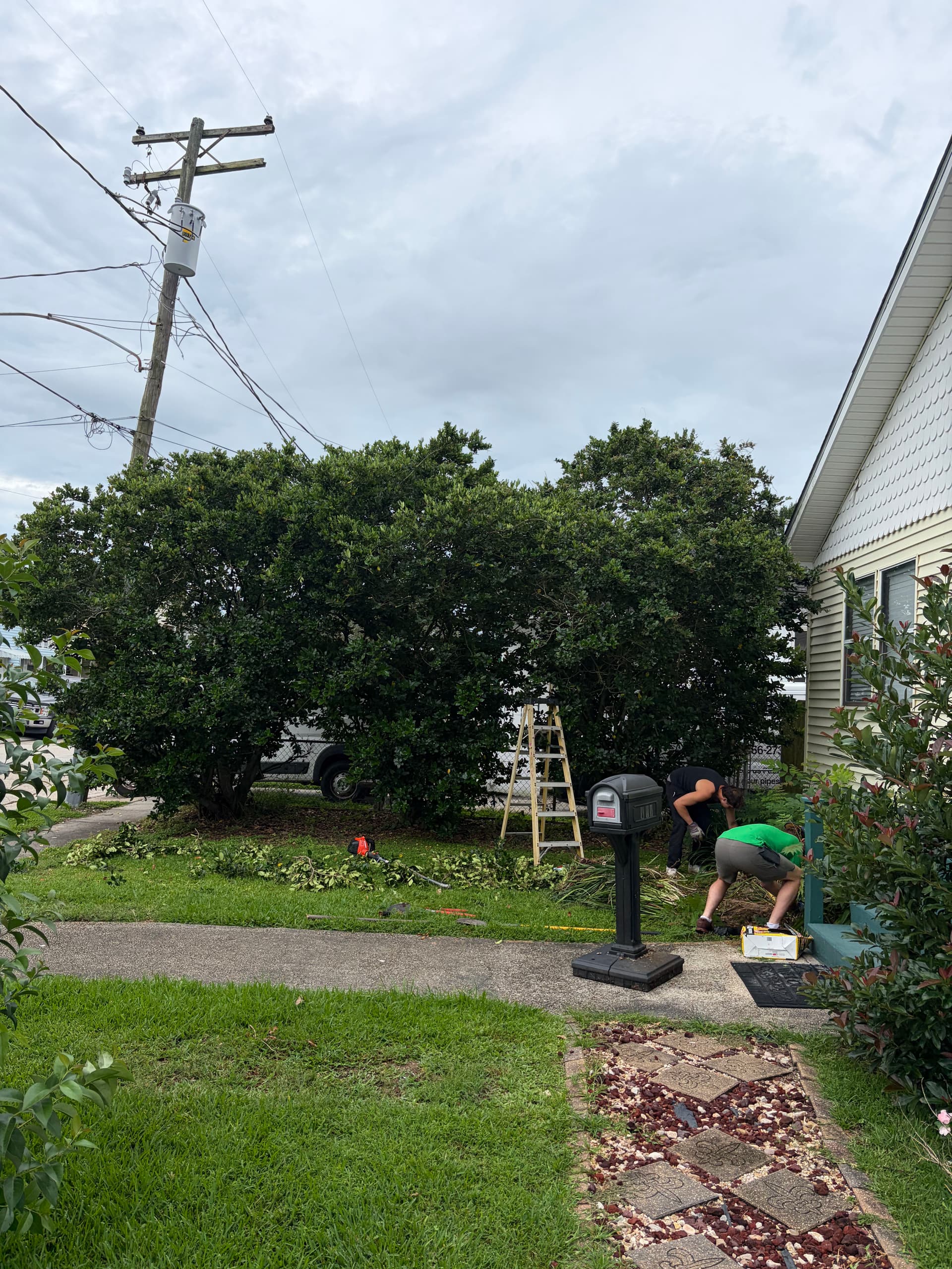 Front Yard Bed Cleanup and Refresh Done Right image