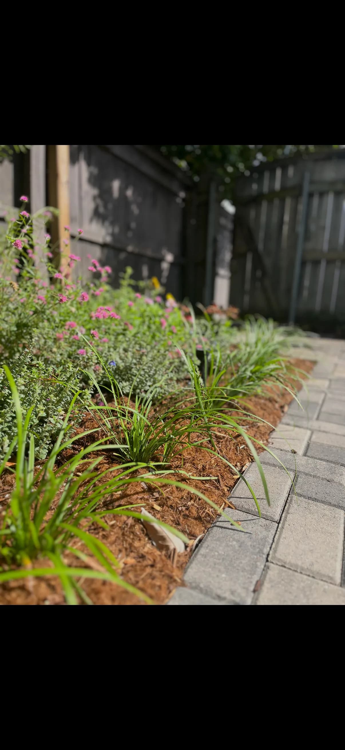 Gallery photos for Cracked Concrete Out, Native Plants and Pavers In: Image #7