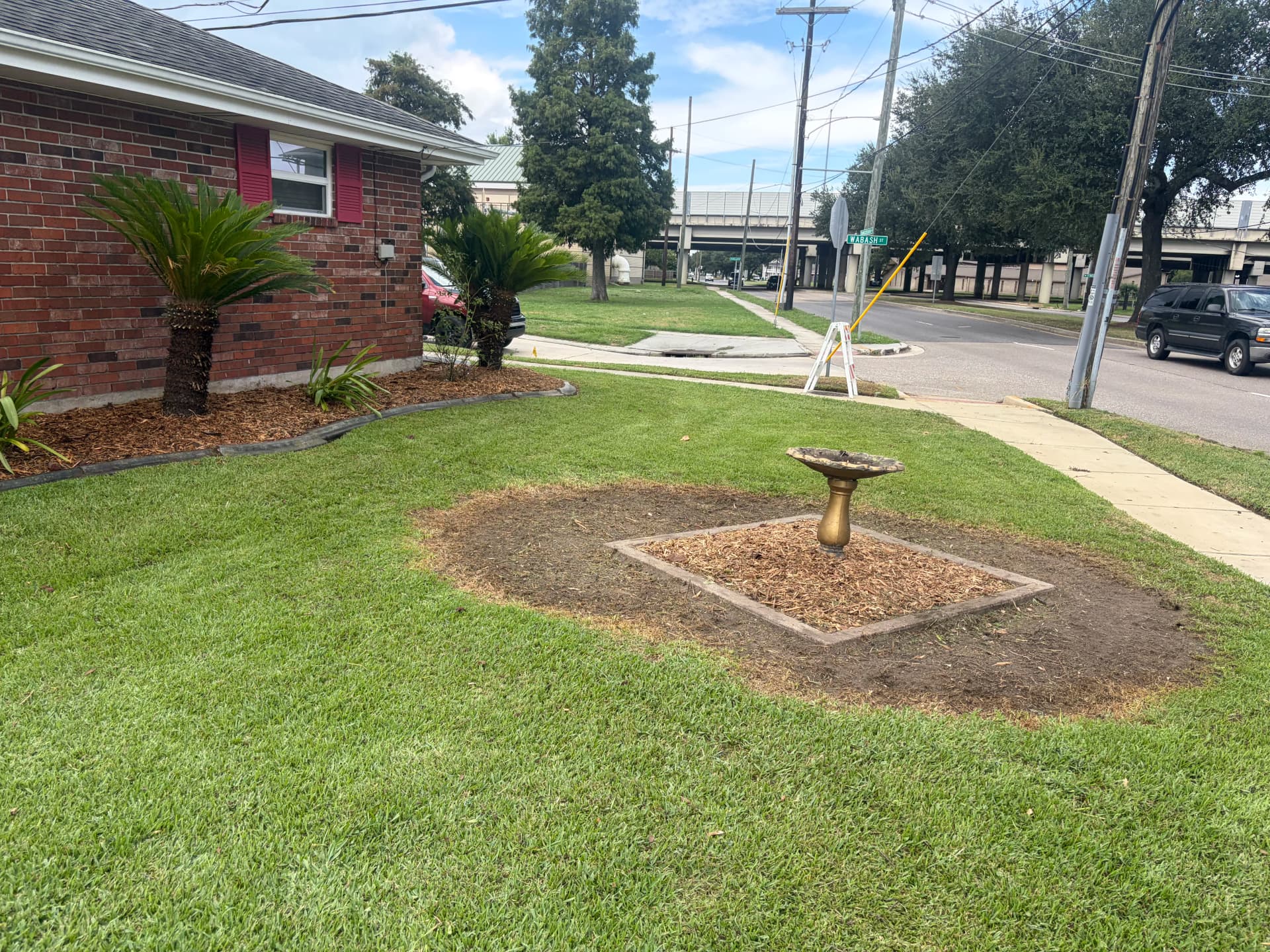 Gallery photos for Overgrown Beds Gone - Fresh Mulch and Trimmed Palms: Image #7