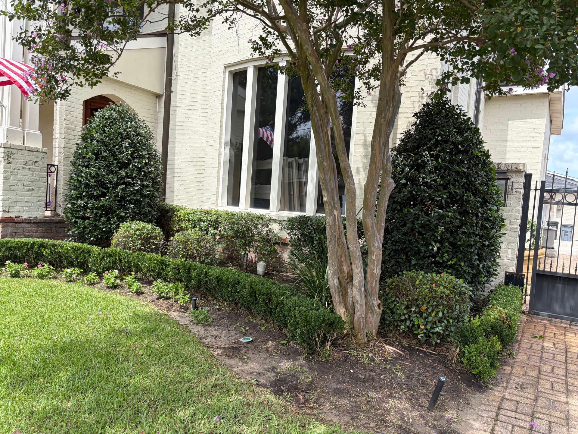 Gallery photos for Front Yard Shrub Trimming and Landscape Cleanup Done Right: Image #5