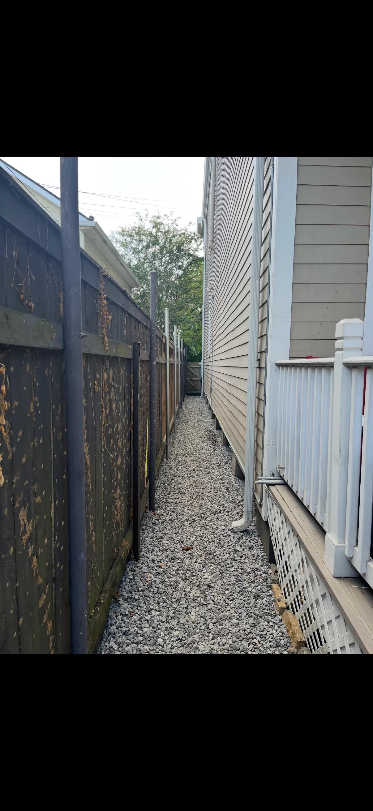 Gallery photos for Cracked Concrete Out, Native Plants and Pavers In: Image #6