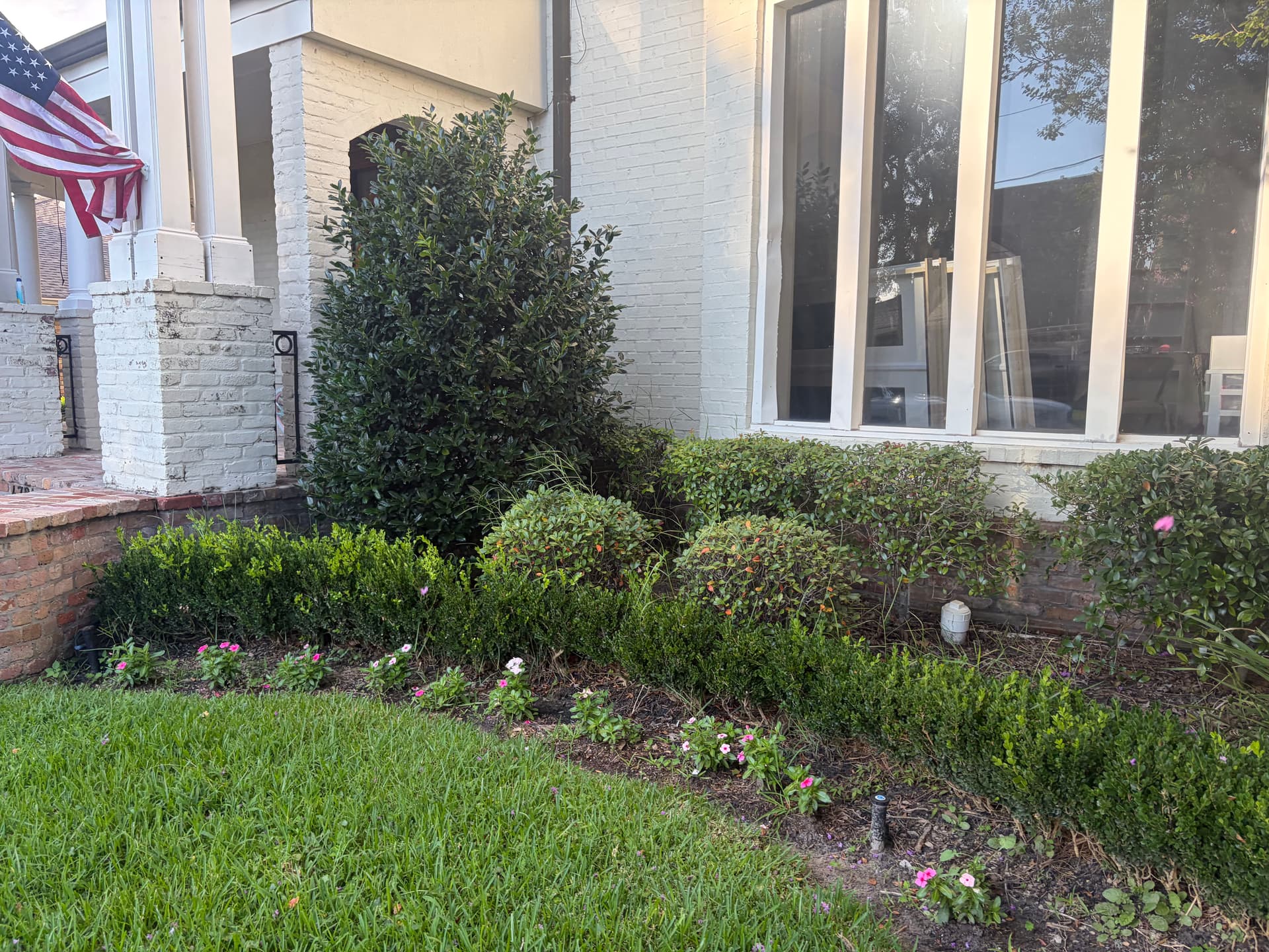 Gallery photos for Front Yard Shrub Trimming and Landscape Cleanup Done Right: Image #2