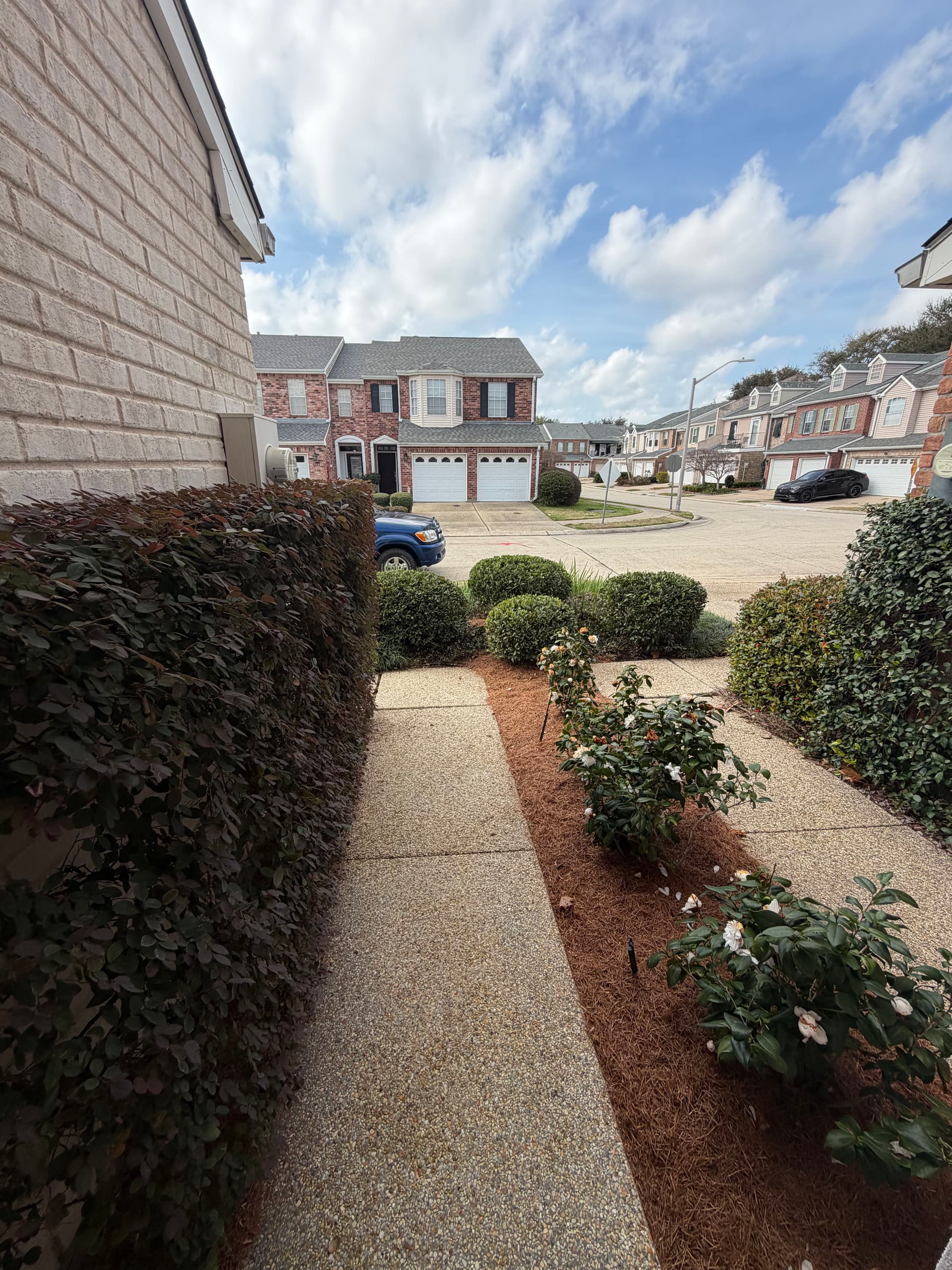 Gallery photos for Suburban Front Yard Makeover in Old Metairie: Image #1