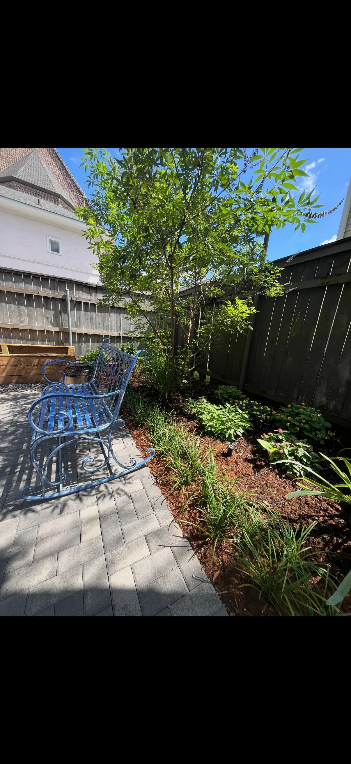 Gallery photos for Cracked Concrete Out, Native Plants and Pavers In: Image #4