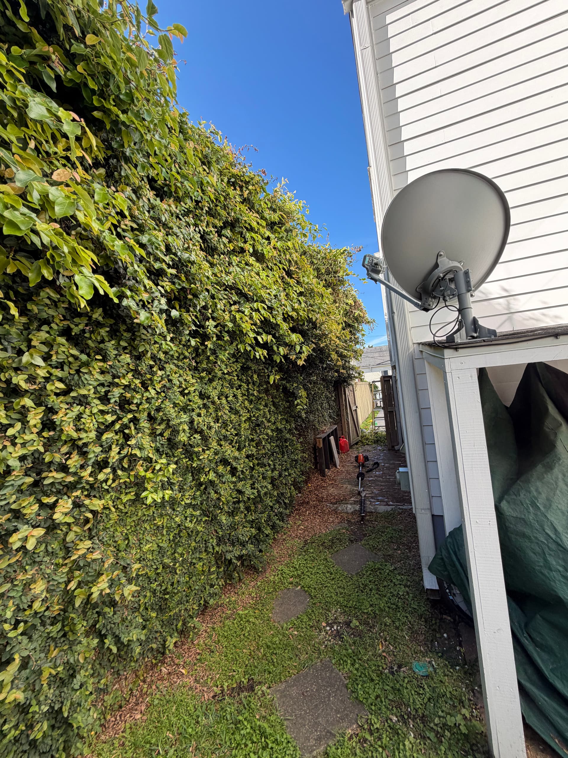 Gallery photos for Lush Escapes in Irish Channel: Image #1