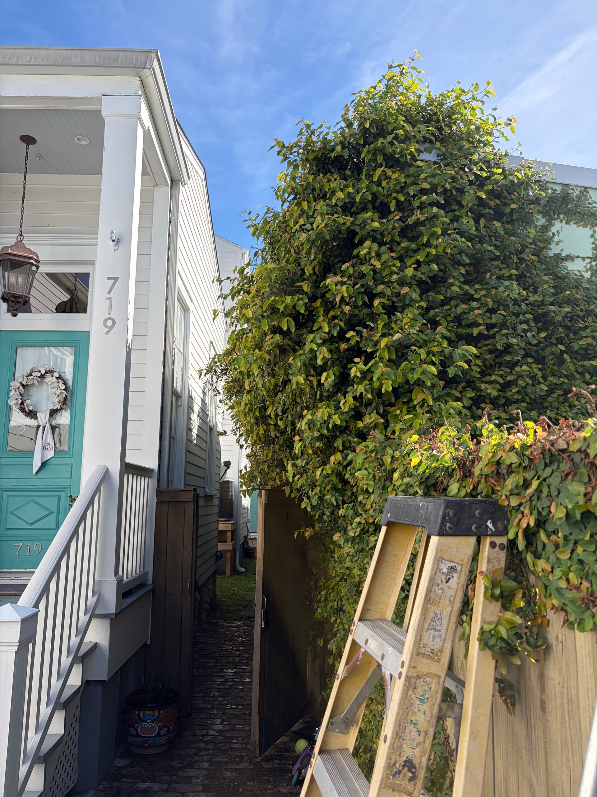 Lush Escapes in Irish Channel image