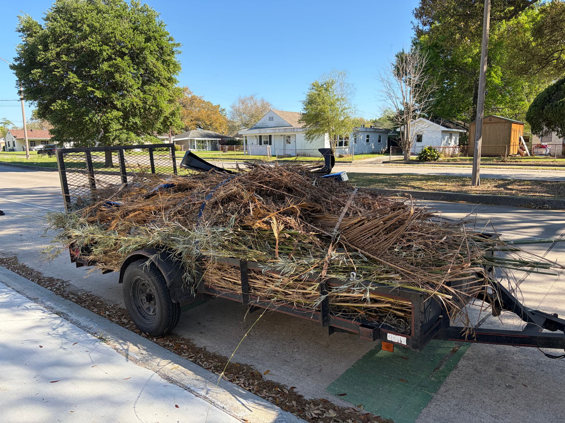 Gallery photos for Yard Cleanup Specialists Clearing Your Space: Image #1