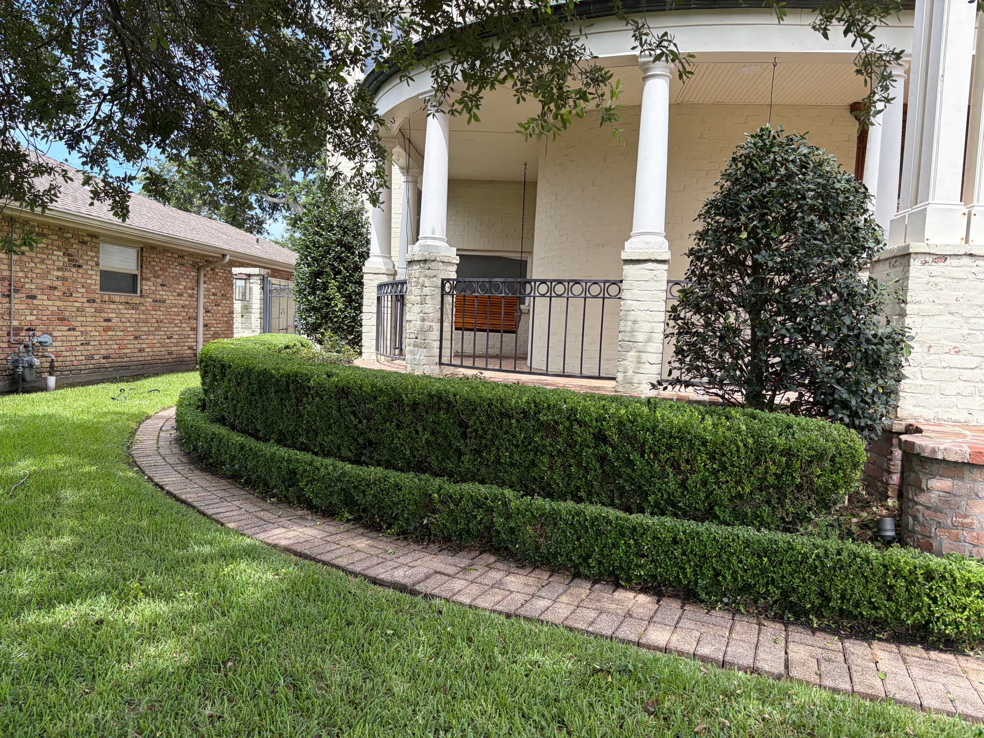 Gallery photos for Front Yard Shrub Trimming and Landscape Cleanup Done Right: Image #6