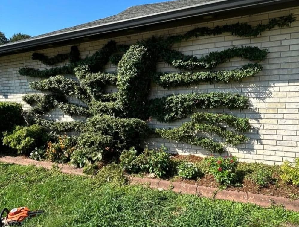 Artfully designed green wall with vine sculpting resembling tree branches on a brick facade.